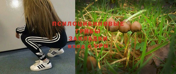 первитин Балахна