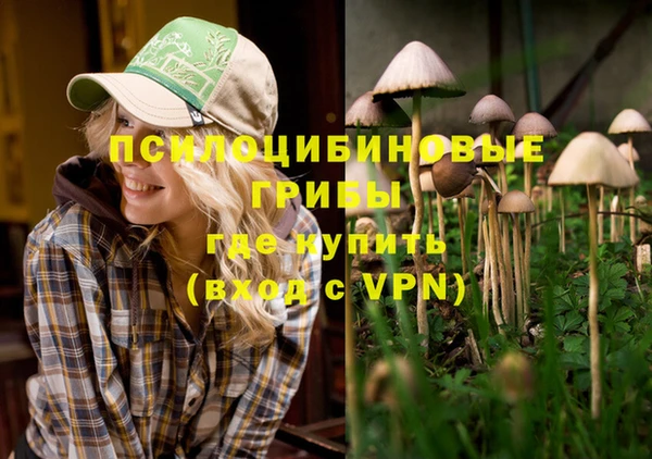 первитин Балахна