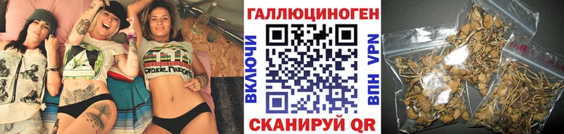Псилоцибиновые грибы Psilocybe  Мариинский Посад 